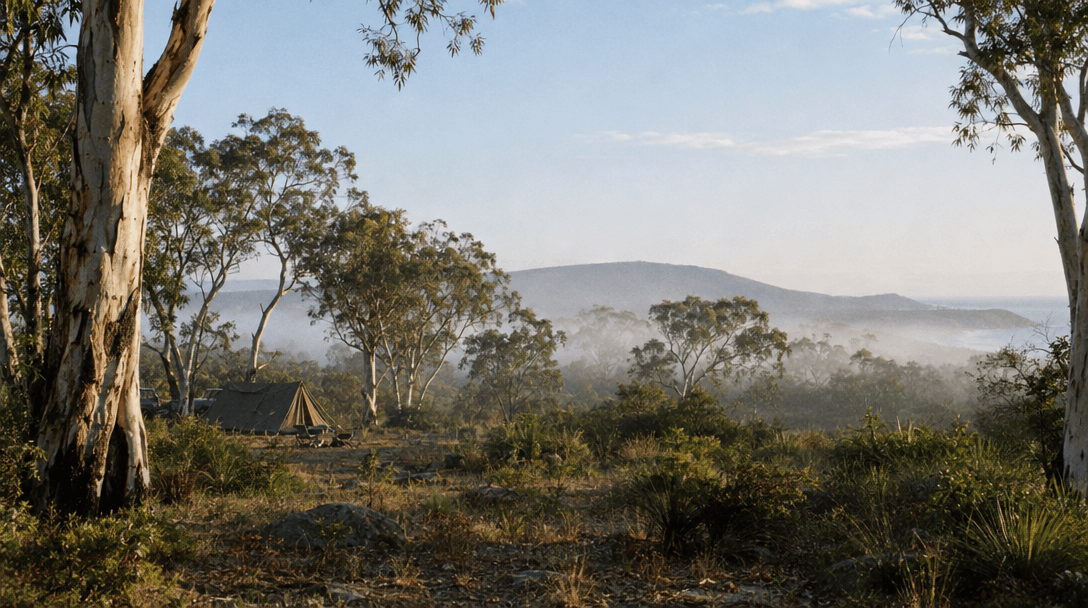 A small canvas tent among coastal bushland in the soft light of early morning